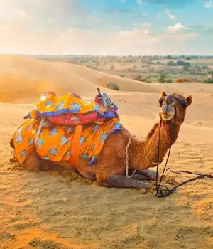 4 days Jaisalmer luxury  tour