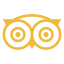 icons8-tripadvisor-64
